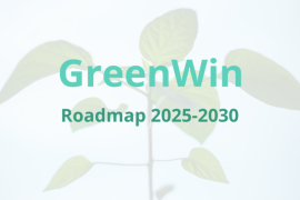 Roadmap 2025-2030 GreenWin Roadmap 2025-2030 GreenWin
